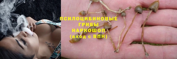 СК Магас