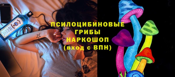 СК Магас