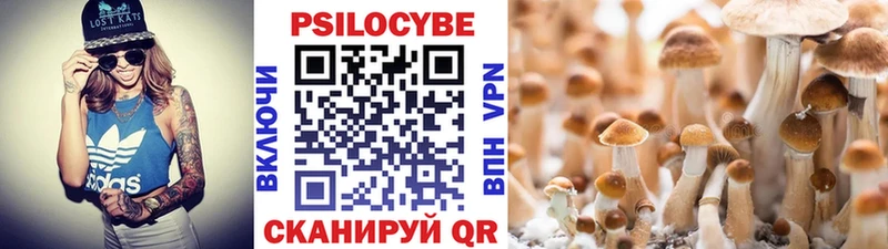 Галлюциногенные грибы GOLDEN TEACHER  хочу   Киров 