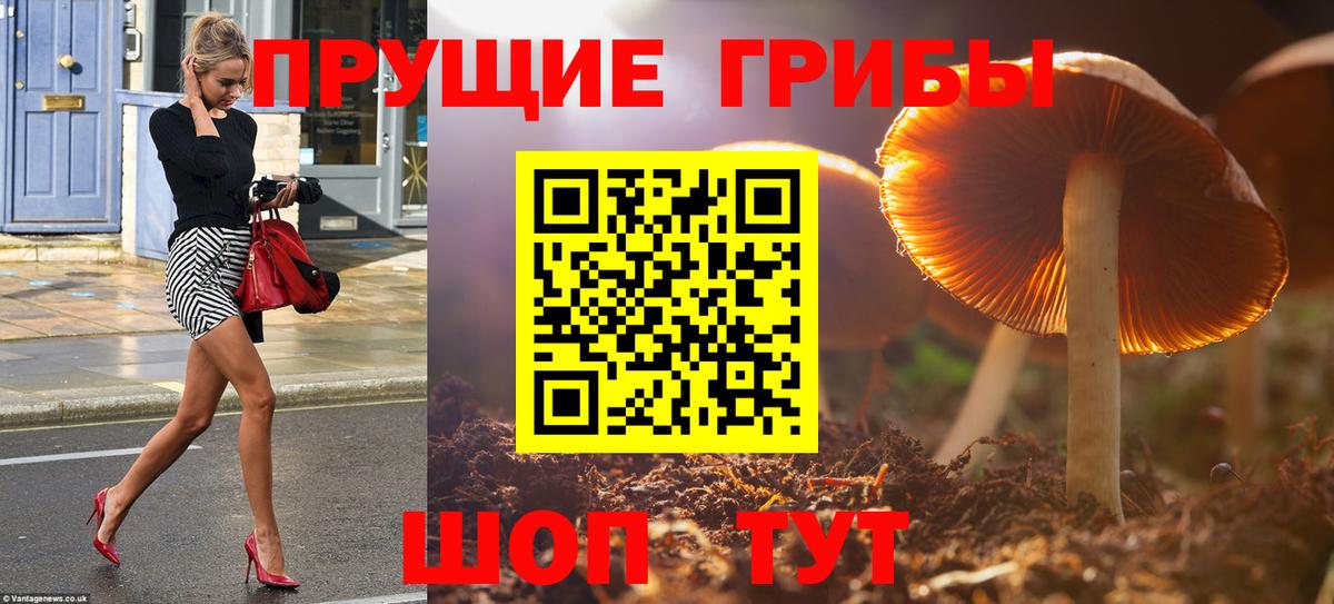 Галлюциногенные грибы мицелий  Вход с VPN  Киров  Галлюциногенные грибы прущие грибы 